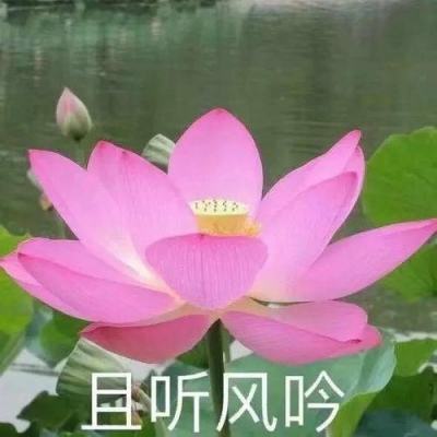 正义枪战国际服手游下载
